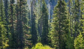 40 Swift Bear, Big Sky, MT 59716