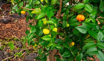 73-4114 IHUPANI Pl, Kailua Kona, HI 96740