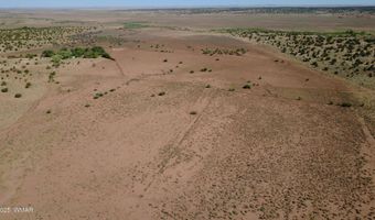 Tbd Wicked Sisters Way 38ac, Concho, AZ 85924