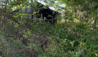 Co Rd 539, Ava, MO 65629