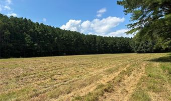 Pleasant Hill Road, Ashland, MS 38603