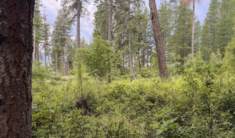 NNA Glacier Loop, Bayview, ID 83803