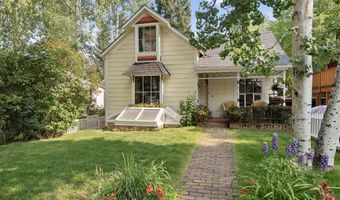 214 W Hyman Ave, Aspen, CO 81611