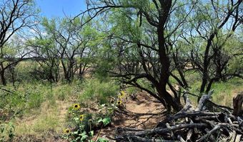 TBD East Tract County Road 356, Anson, TX 79501