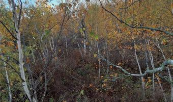 31538 County 23, Akeley, MN 56433