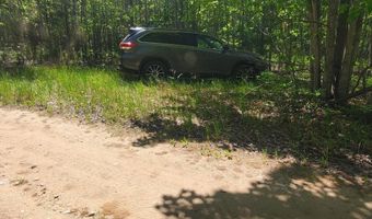 40 AC Werth Rd, Alpena, MI 49707