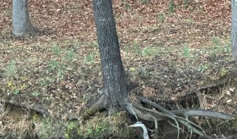 375 Middle Creek Rd, Afton, TN 37616