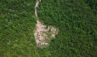 Tucker Road lot 9, Bath Springs, TN 38311