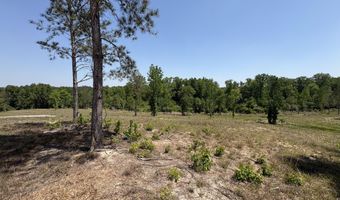 Ccc Road 025-08-01-001, Beech Island, SC 29842