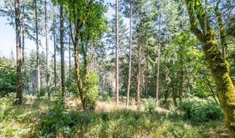 Scravel Hill RD, Albany, OR 97322