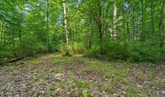 1125 39th St, Allegan, MI 49010