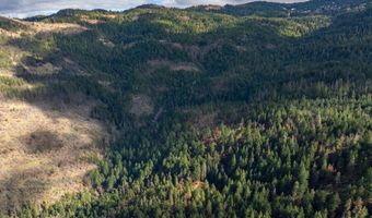 2829 Buckhorn Springs Rd, Ashland, OR 97520