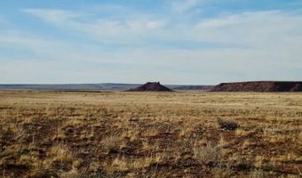 15 Co Rd N7284 40 Acres, Chambers, AZ 86502