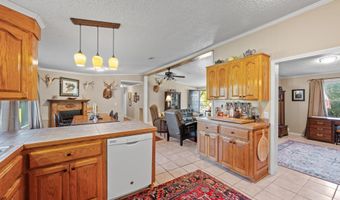 7901 Ashleigh Rd, Blackville, SC 29817
