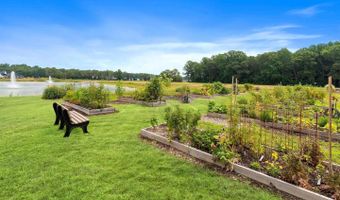 31567 GOOSEBERRY Way, Lewes, DE 19958