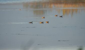 43353 258th St, Bridgewater, SD 57319