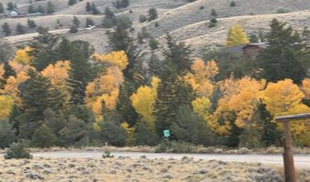 TBD Hawk Dr 217, Cody, WY 82414