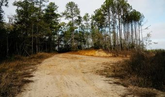 US Hwy 98, Beaumont, MS 39423