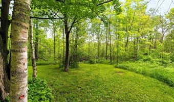 5084 Woodland Ave, Bagley, MN 55803