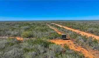 CR 145 & CR 173, Alice, TX 78332