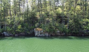 LOT 59 SIPSEY OVERLOOK, Double Springs, AL 35553