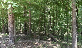 6 Gray Academy Rd Lot 6, Ashland, MS 38603