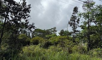 1163 13th Ave, Keaau, HI 96749