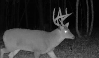 0 Old HWY 51 NE, Brookhaven, MS 39601