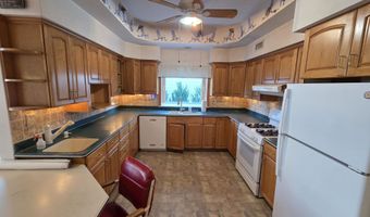 256 42nd, Avalon, NJ 08202