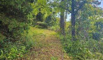 97 Destination Dr, Asheville, NC 28806