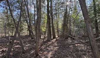 2254 E M30, Alger, MI 48610