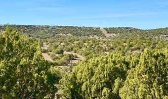 Kirkland DR 20 Acres, Concho, AZ 85924