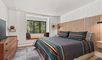 332 VINE St, Aspen, CO 81611
