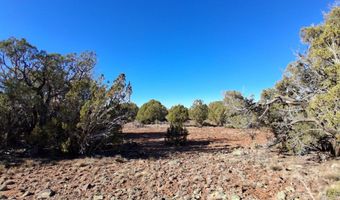 5 N8716, Concho, AZ 85924