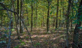 Castle Drive, Batesville, AR 72501