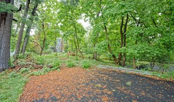 29 S Pine Ave, Albany, NY 12208