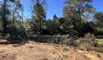 1011 Granny Hollar Rd, Atkins, AR 72823