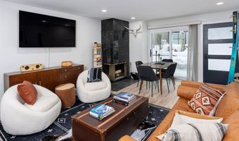 100 E DEAN St 1D, Aspen, CO 81611