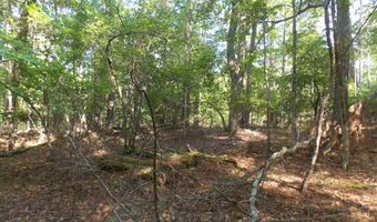 13 RIVERVIEW Ct, Lincolnton, GA 30817