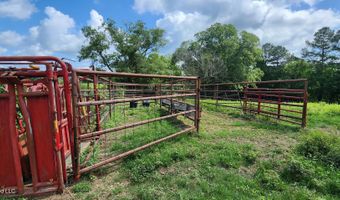 3350 SE Mount Pleasant Ln, Bogue Chitto, MS 39629