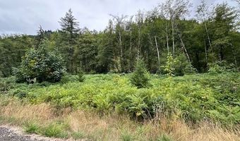 2 N Dubois Rd, Ariel, WA 98603