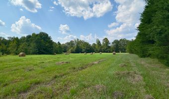 0 Hwy 14, Aliceville, AL 35442