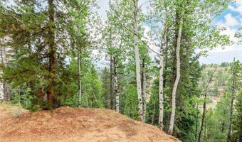 427 Wise Rd, Bailey, CO 80421