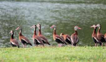 7203 NW 121 Ave, Alachua, FL 32615