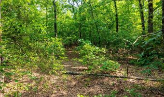 Cave Creek Road, Batesville, AR 72501