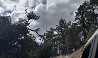 636 Mountain Center 35-0002, Mountain Center, CA 92561