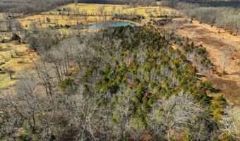 2479 County Road 304, Alton, MO 65606