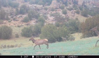 001 CR 40.2, Branson, CO 81027