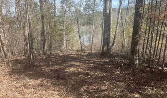 Lot 91 Sipsey Overlook, Double Springs, AL 35553