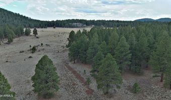 0 FOREST ROAD 193 St, Flagstaff, AZ 86001